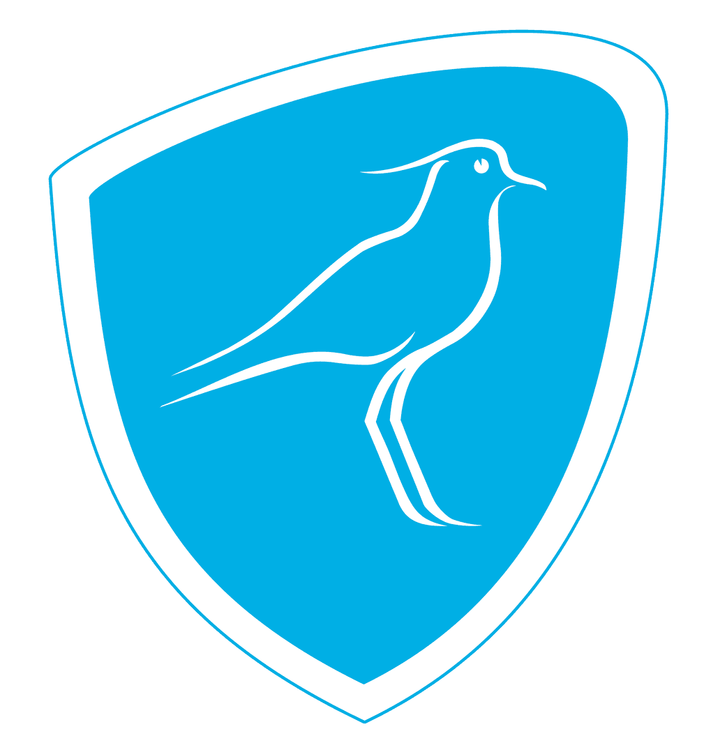 Unión de Rugby del Uruguay